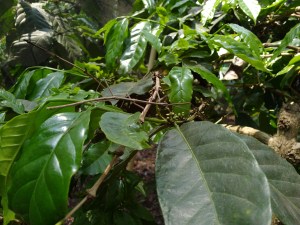 IMG_20160418_113317764