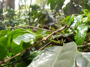 IMG_20160418_113400876