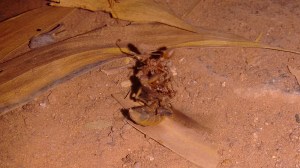 IMG_20160303_190236965