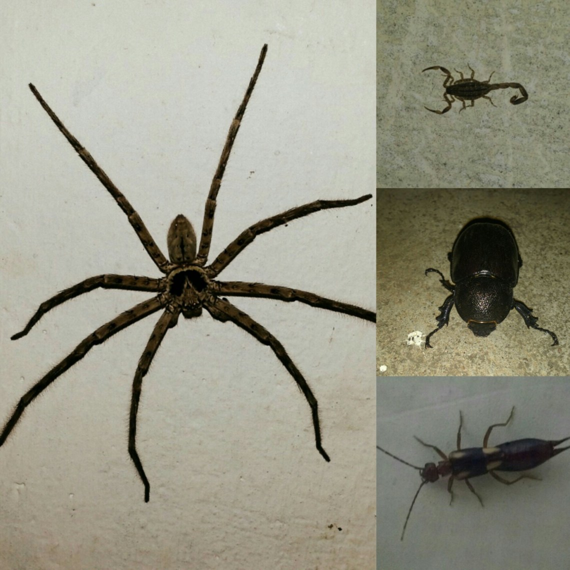 PicsArt_03-23-12.39.40