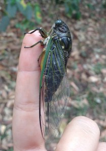 IMG_20160401_161246702 (2)