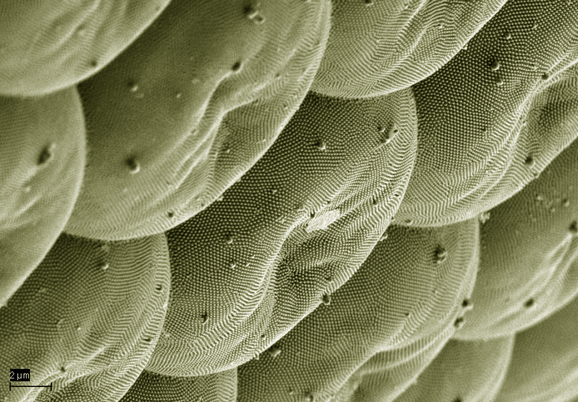 ACFrOgDUUwV4PndSOtdcJXZPdkO8NJbfNbmS2Tz7tap79WkTTxuJsJTDUMnn_Zgba7qAmqXGw4vq0vp8lZGCb3nUaUaA1vPjN0oOZxY-QGOUUJe_sU6un1mOocNEirk=