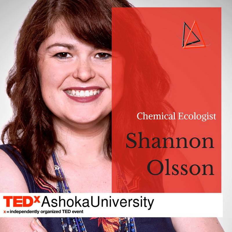 21616302_318271545303225_9188759487314282906_n