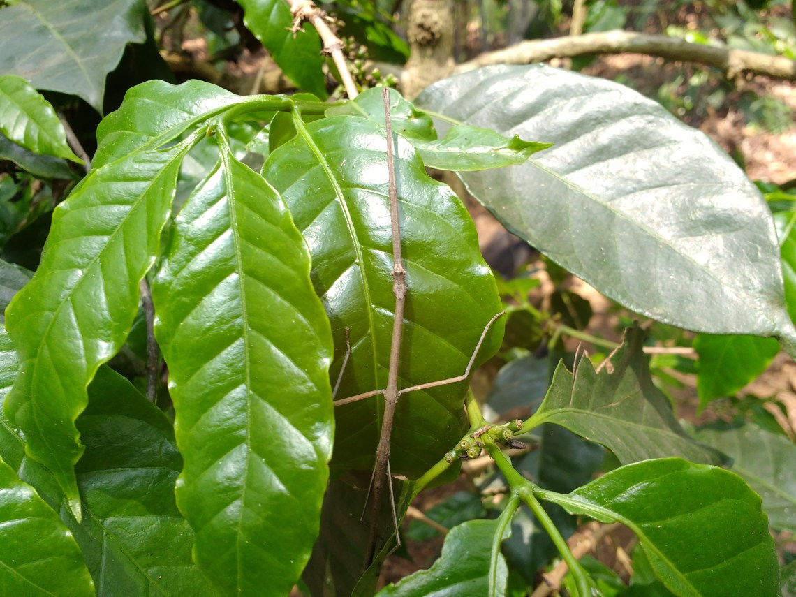 IMG_20160418_113139386