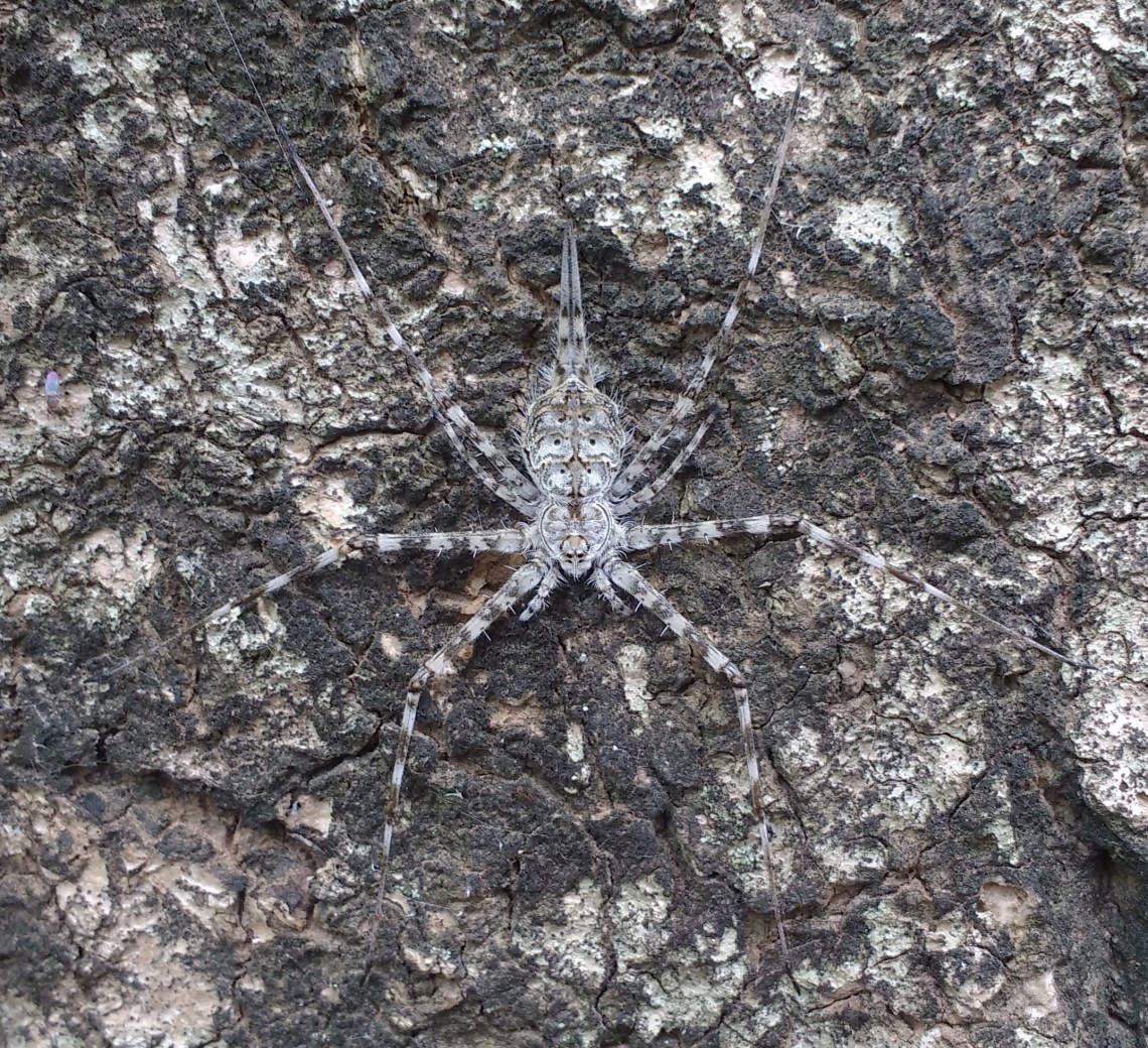 IMG_20160618_132532154