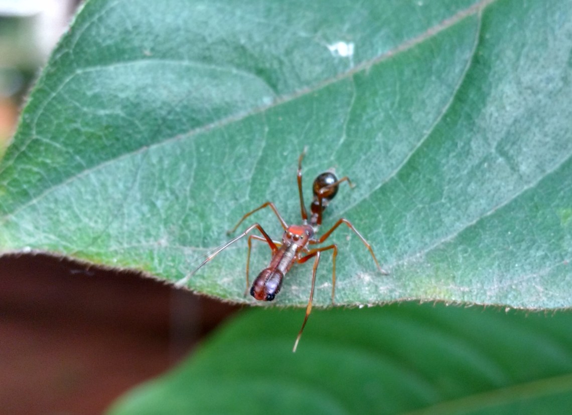 IMG_20160928_104043891_HDR