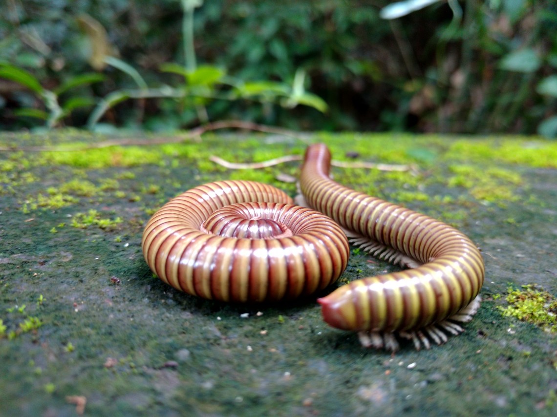 IMG_20170923_105356186_HDR